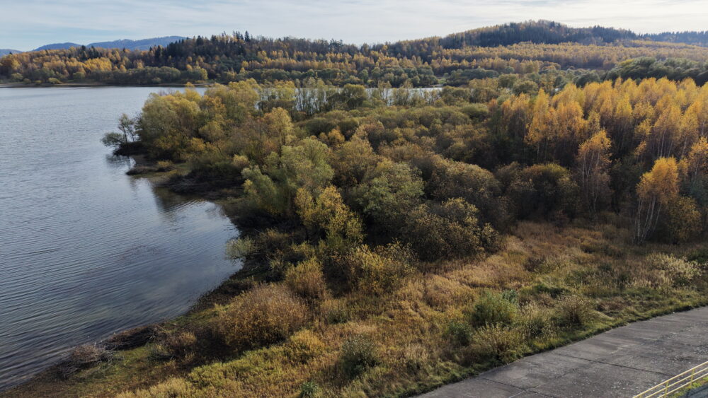 Jezioro Bukówka - widok z drona