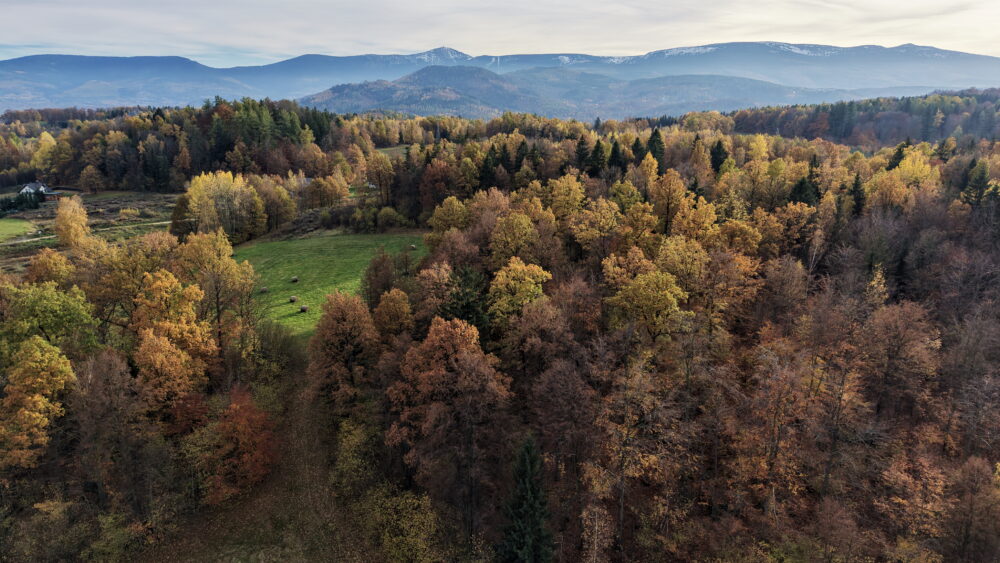 działka staniszów jelenia-góra karkonosze